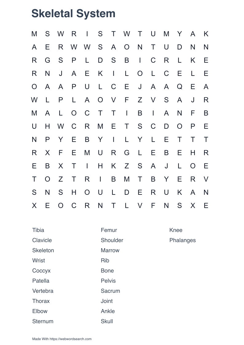 Skeletal System Word Search